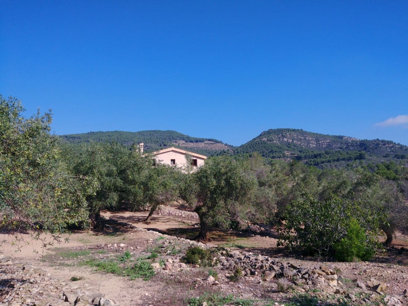 3 chambre Finca/Maison de Campagne à vendre à El Perello - 345 000 € (Ref: 10159736)