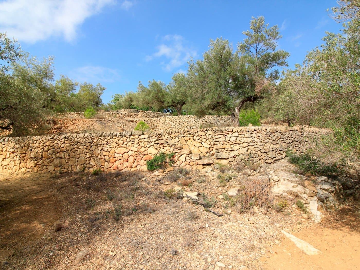 3 chambre Finca/Maison de Campagne à vendre à El Perello - 345 000 € (Ref: 10159736)