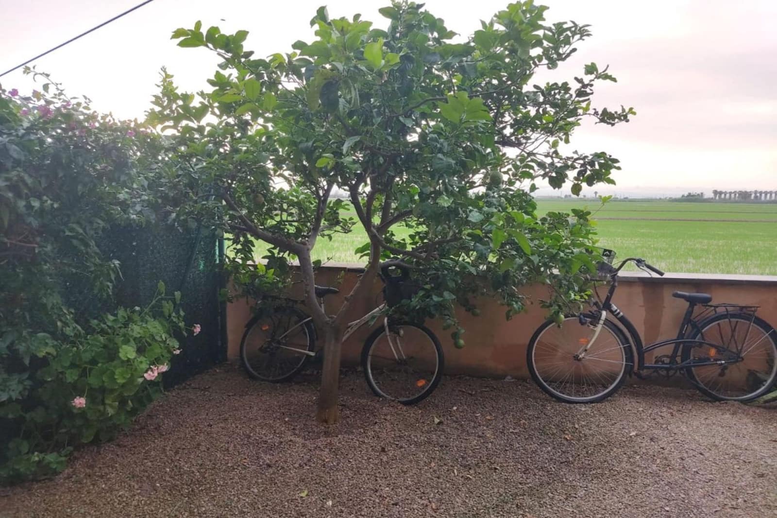 2 sovrum Lägenhet till salu i Amposta med garage - 119 000 € (Ref: 10183163)