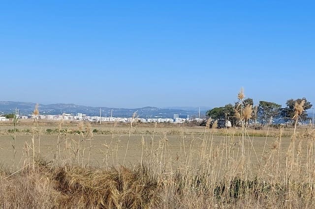 3 bedroom Finca/Country House for sale in L'Ampolla - € 155,000 (Ref: 6163145)