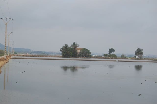 Finca/Country House for sale in Amposta - € 125,000 (Ref: 6163180)