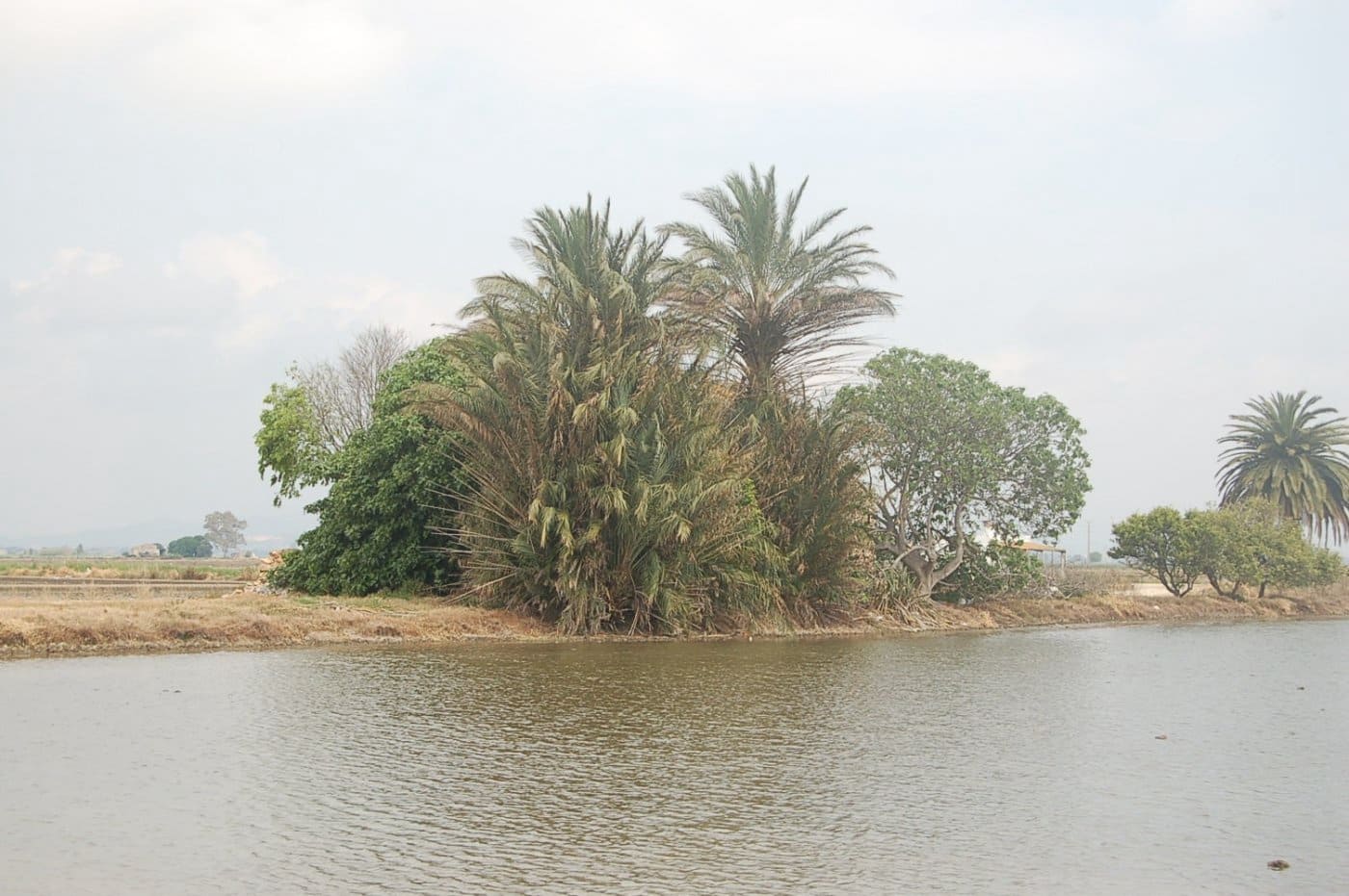 Finca/Country House for sale in Amposta - € 125,000 (Ref: 6163180)