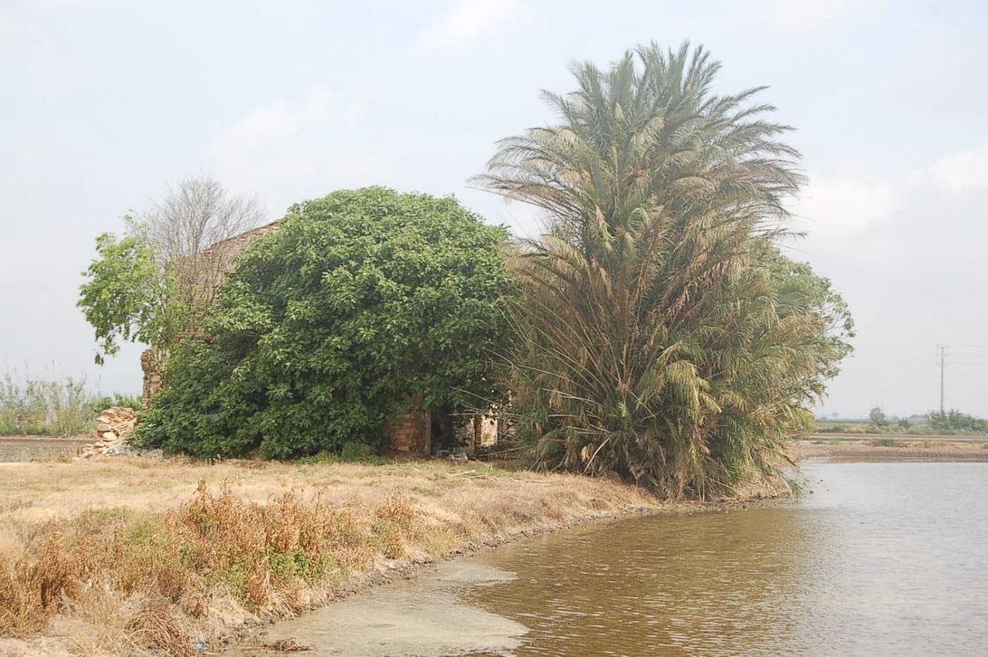 Finca/Country House for sale in Amposta - € 125,000 (Ref: 6163180)