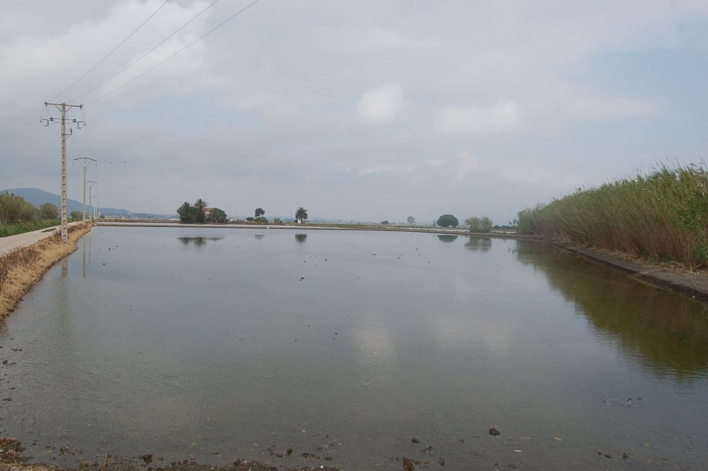 Finca/Country House for sale in Amposta - € 125,000 (Ref: 6163180)