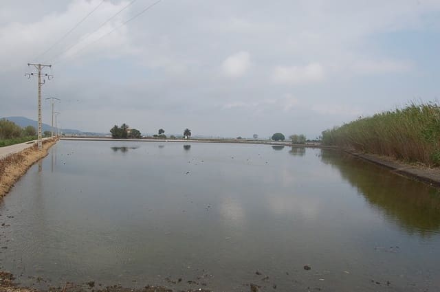 Finca/Country House for sale in Amposta - € 125,000 (Ref: 6163180)