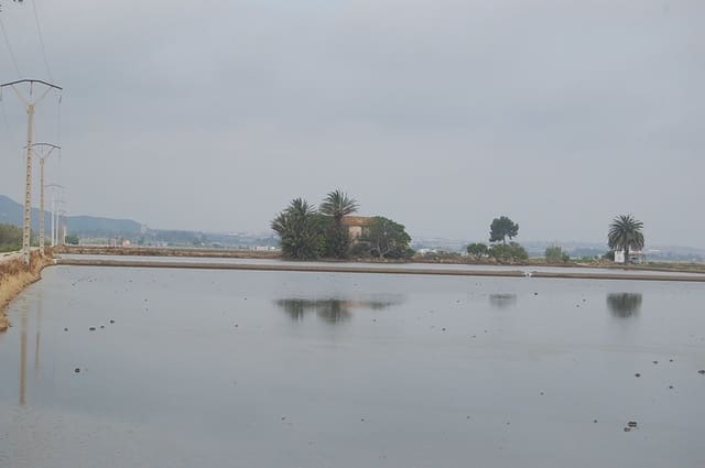 Finca/Country House for sale in Amposta - € 125,000 (Ref: 6163180)