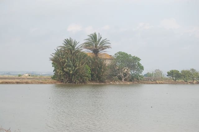 Finca/Country House for sale in Amposta - € 125,000 (Ref: 6163180)