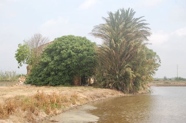 Finca/Country House for sale in Amposta - € 125,000 (Ref: 6163180)