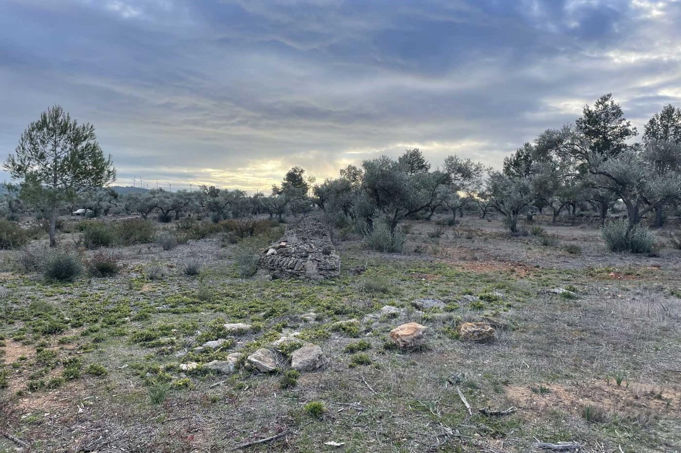 Finca/Herregård til salgs i El Perello - € 150 000 (Ref: 7359099)