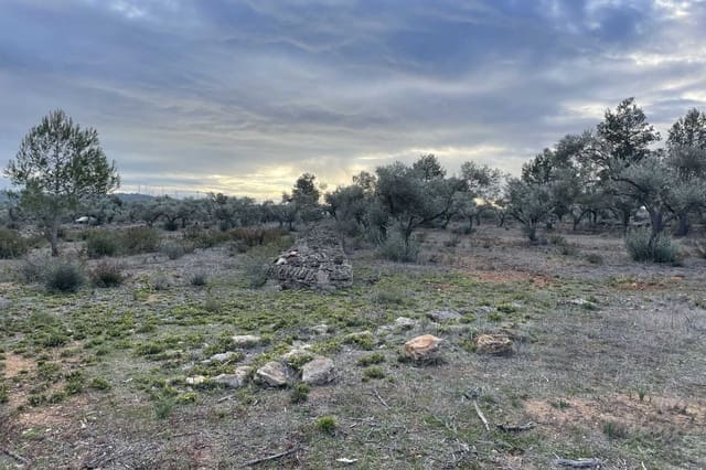 Finca/Herregård til salgs i El Perelló - € 150 000 (Ref: 7359099)