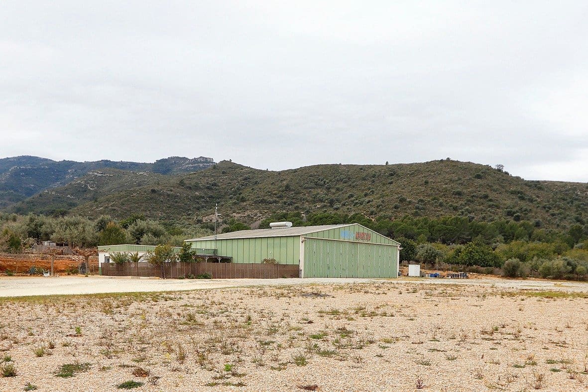 Erhverv til salg i Amposta - € 650.000 (Ref: 8107374)