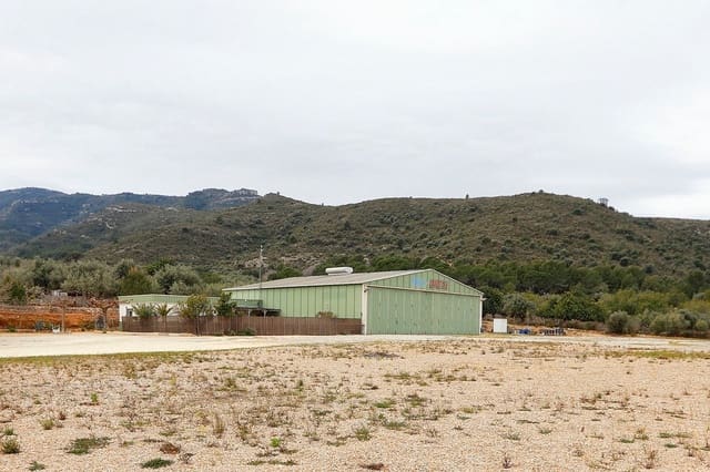 Local Comercial en Amposta en venta - 650.000 € (Ref: 8107374)