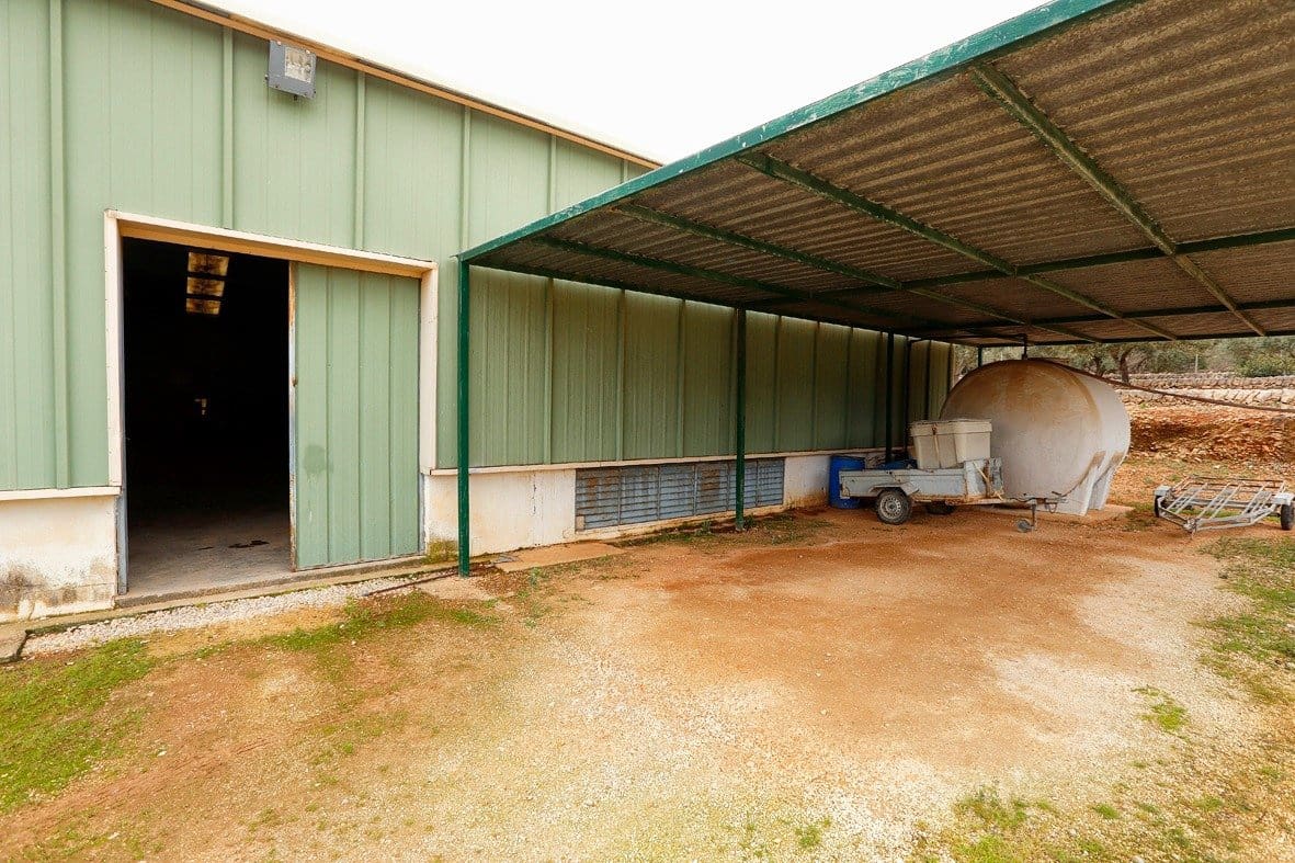 Erhverv til salg i Amposta - € 650.000 (Ref: 8107374)