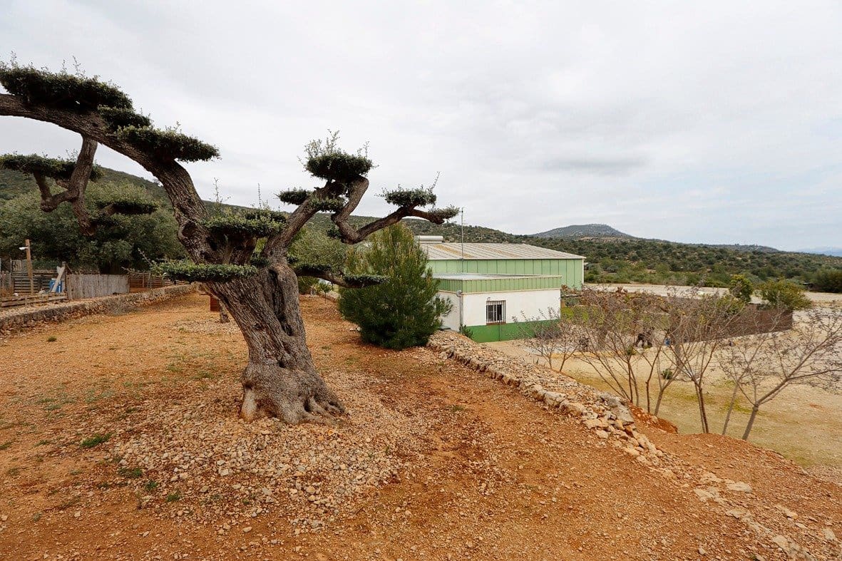 Erhverv til salg i Amposta - € 650.000 (Ref: 8107374)