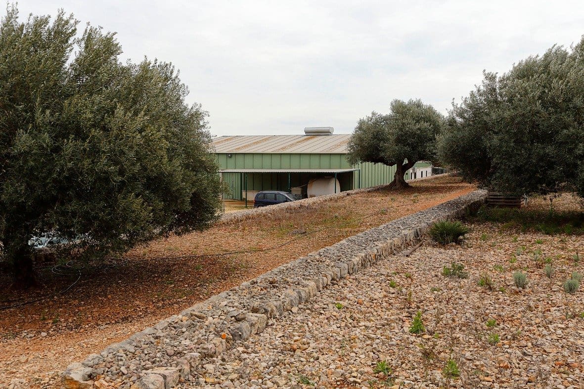 Erhverv til salg i Amposta - € 650.000 (Ref: 8107374)