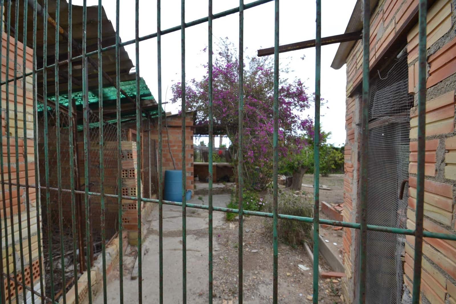 Bouwgrond te koop in Deltebre - € 49.000 (Ref: 8327781)