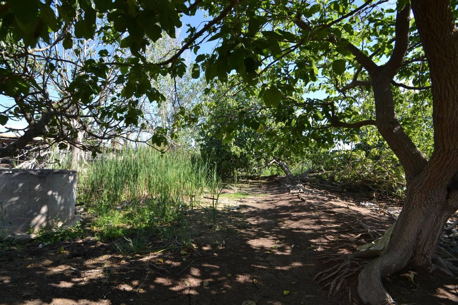 2 soveværelse Finca/Landehus til salg i Deltebre - € 95.500 (Ref: 8363220)