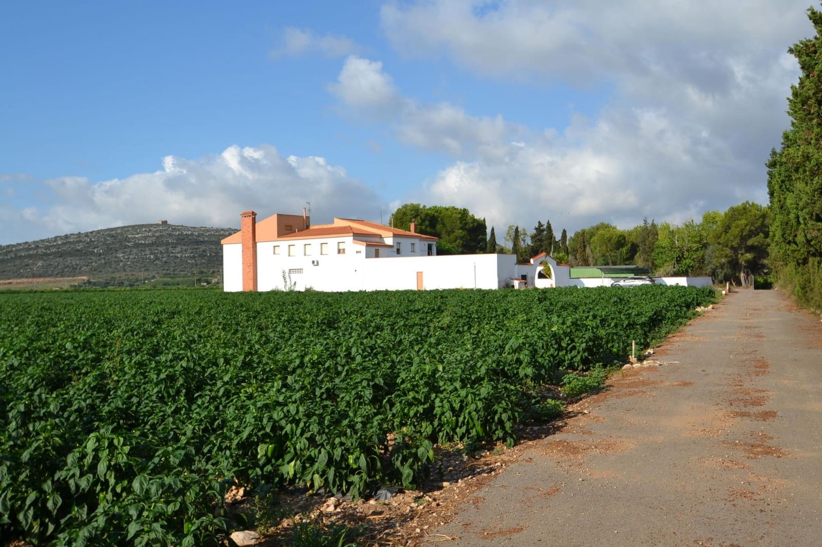 9 soverom Finca/Herregård til salgs i Vinaros med svømmebasseng garasje - € 1 690 000 (Ref: 8432616)