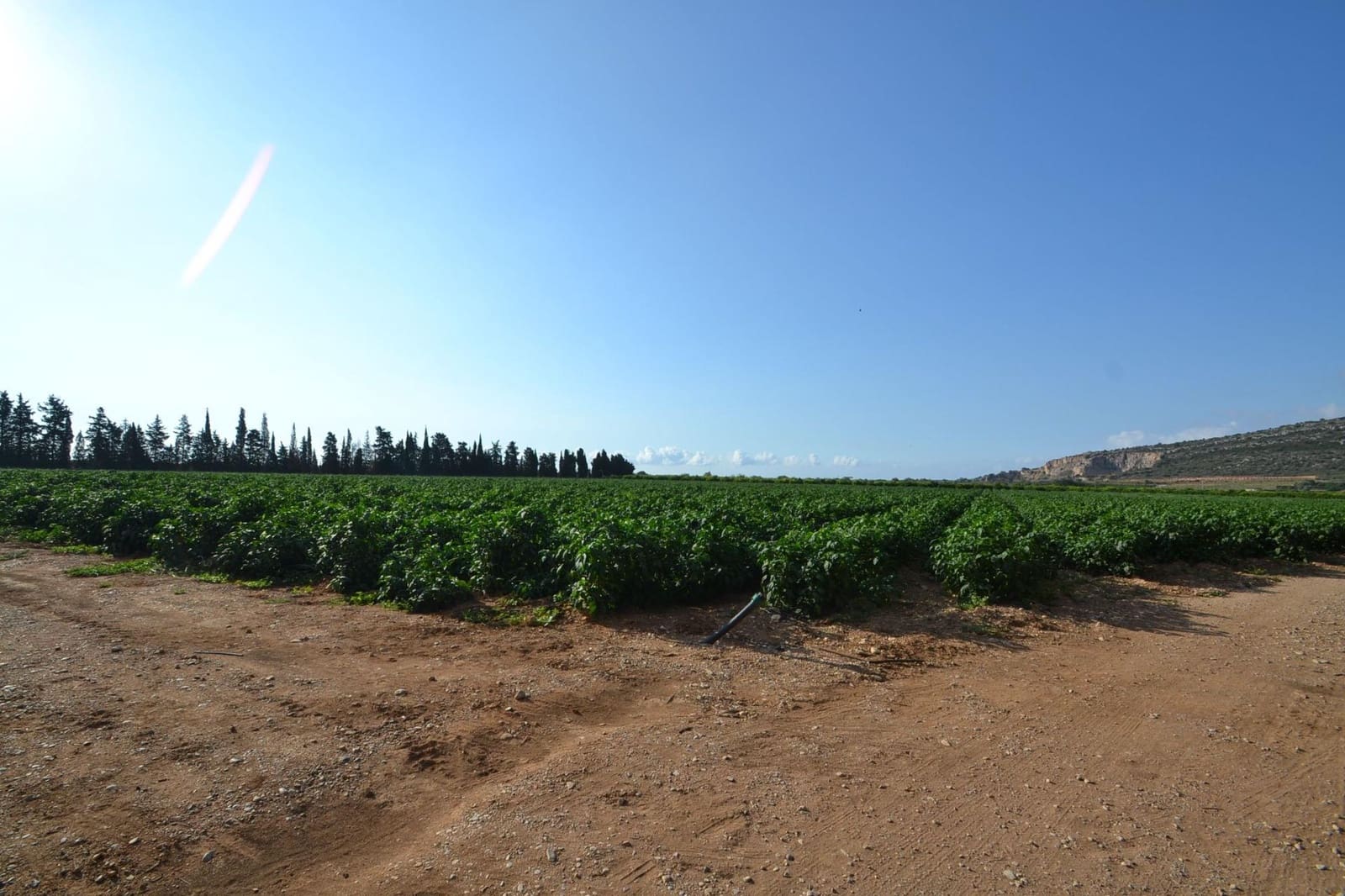 9 soverom Finca/Herregård til salgs i Vinaros med svømmebasseng garasje - € 1 690 000 (Ref: 8432616)