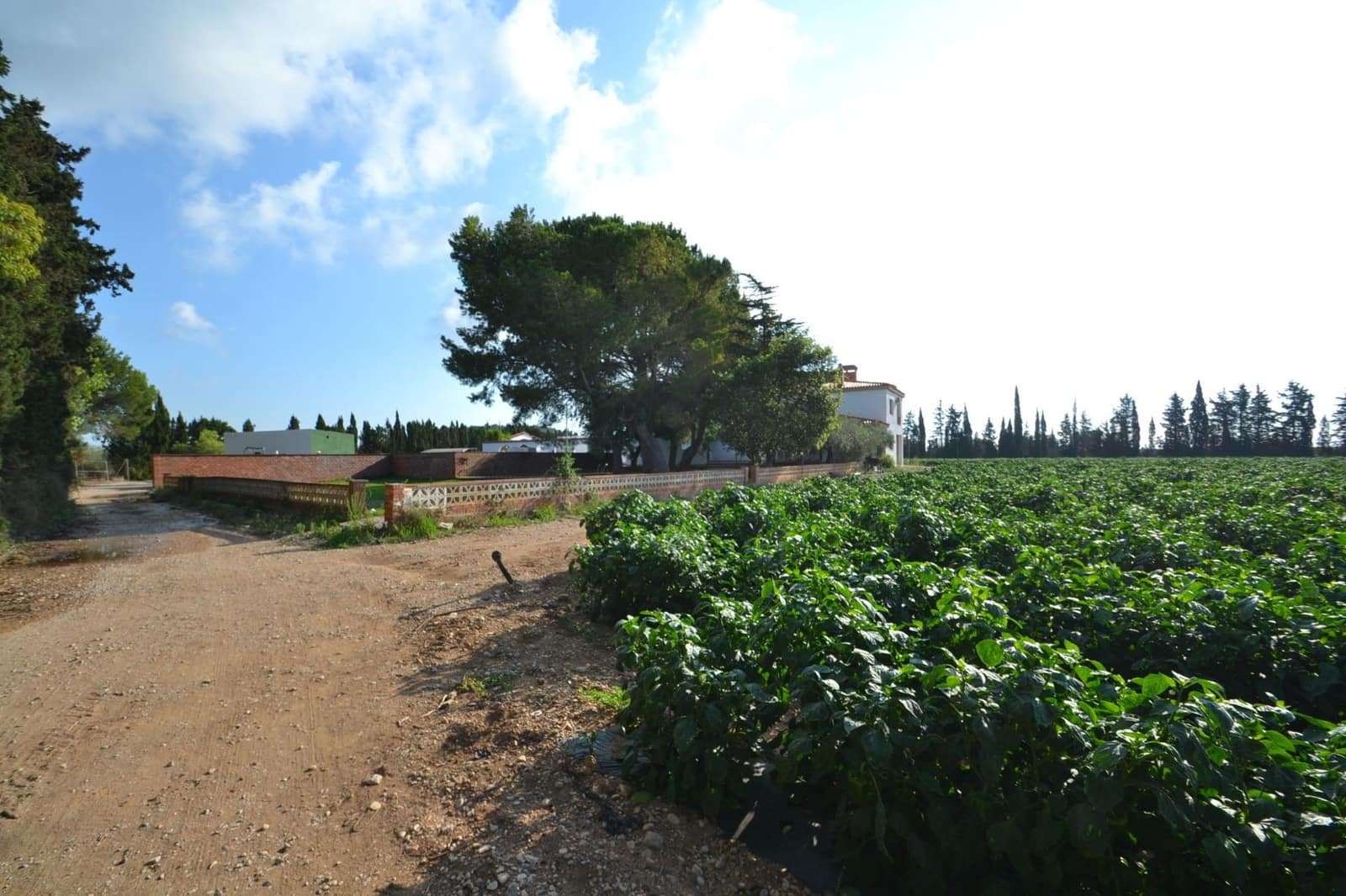 9 soverom Finca/Herregård til salgs i Vinaros med svømmebasseng garasje - € 1 690 000 (Ref: 8432616)