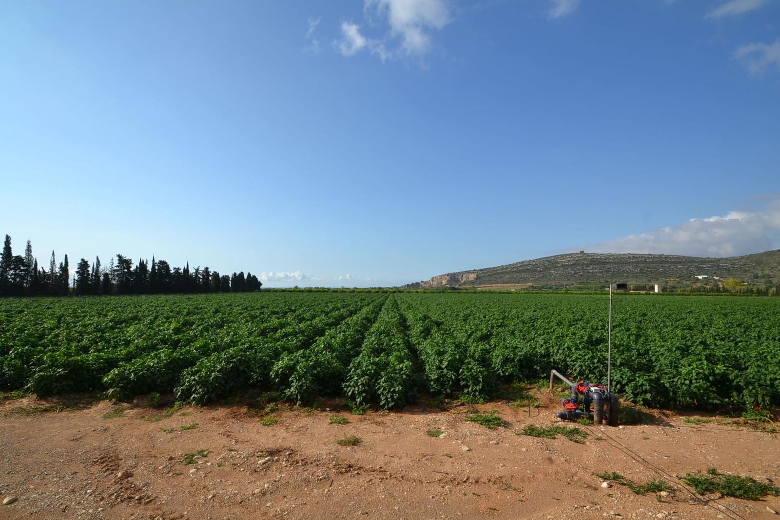 9 soverom Finca/Herregård til salgs i Vinaros med svømmebasseng garasje - € 1 690 000 (Ref: 8432616)