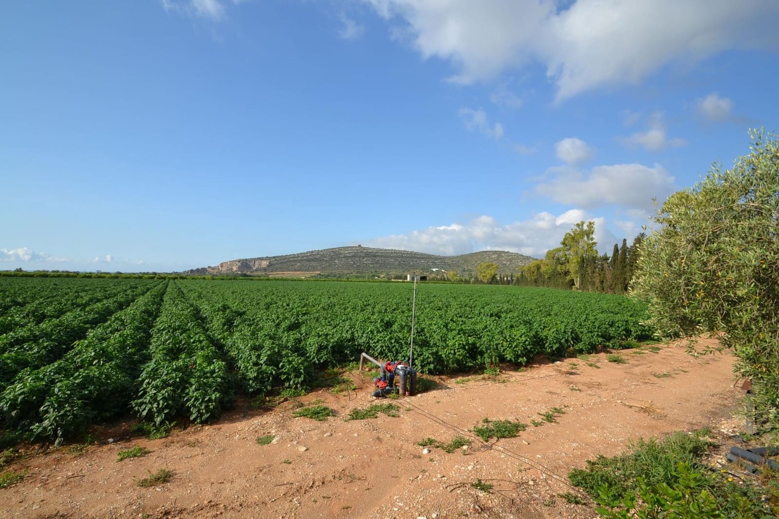 9 soverom Finca/Herregård til salgs i Vinaros med svømmebasseng garasje - € 1 690 000 (Ref: 8432616)