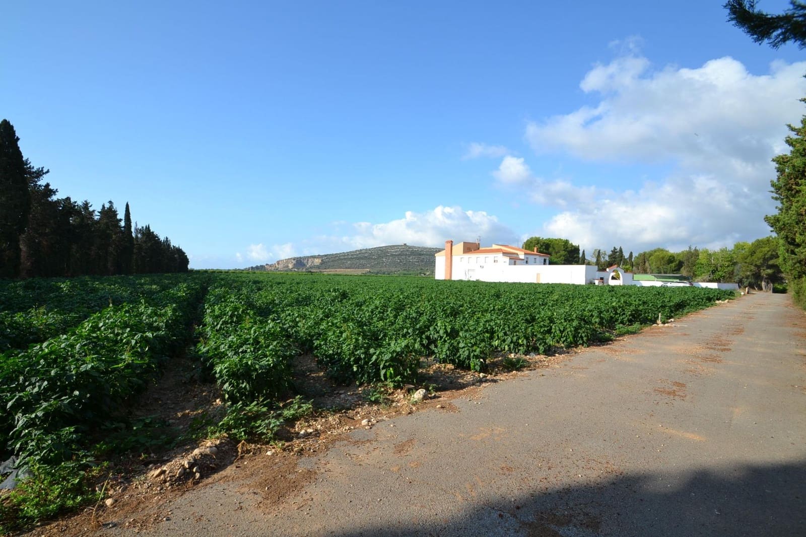 9 soverom Finca/Herregård til salgs i Vinaros med svømmebasseng garasje - € 1 690 000 (Ref: 8432616)