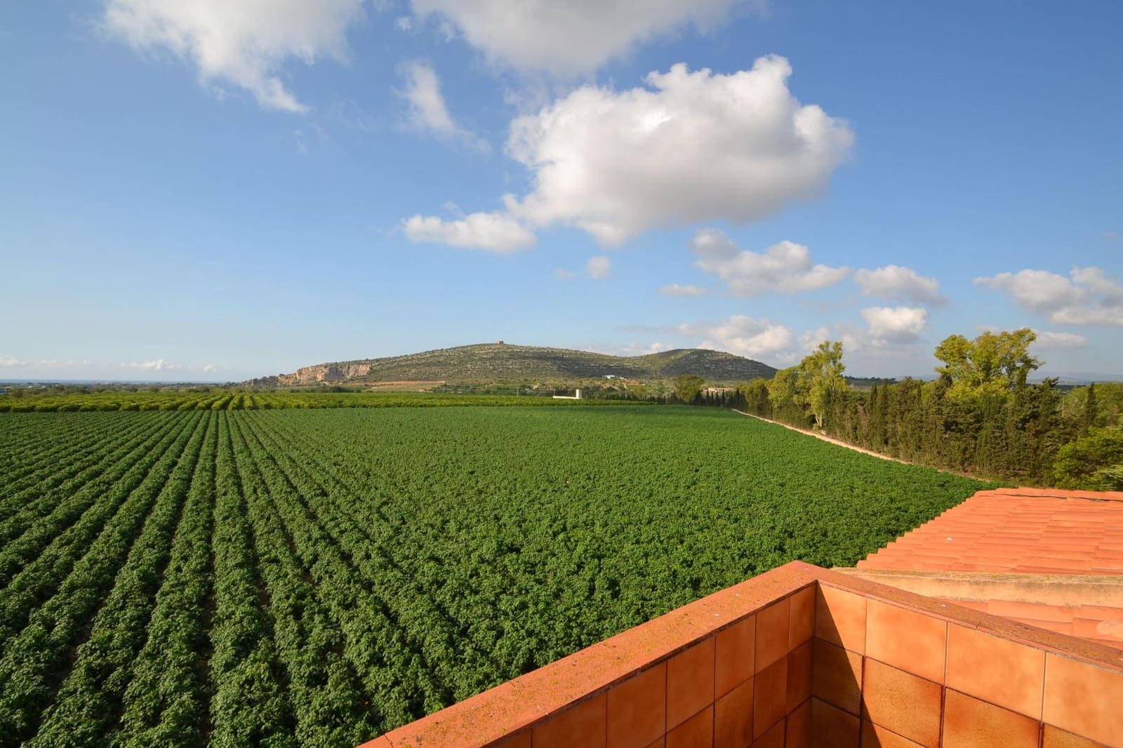 9 soverom Finca/Herregård til salgs i Vinaros med svømmebasseng garasje - € 1 690 000 (Ref: 8432616)