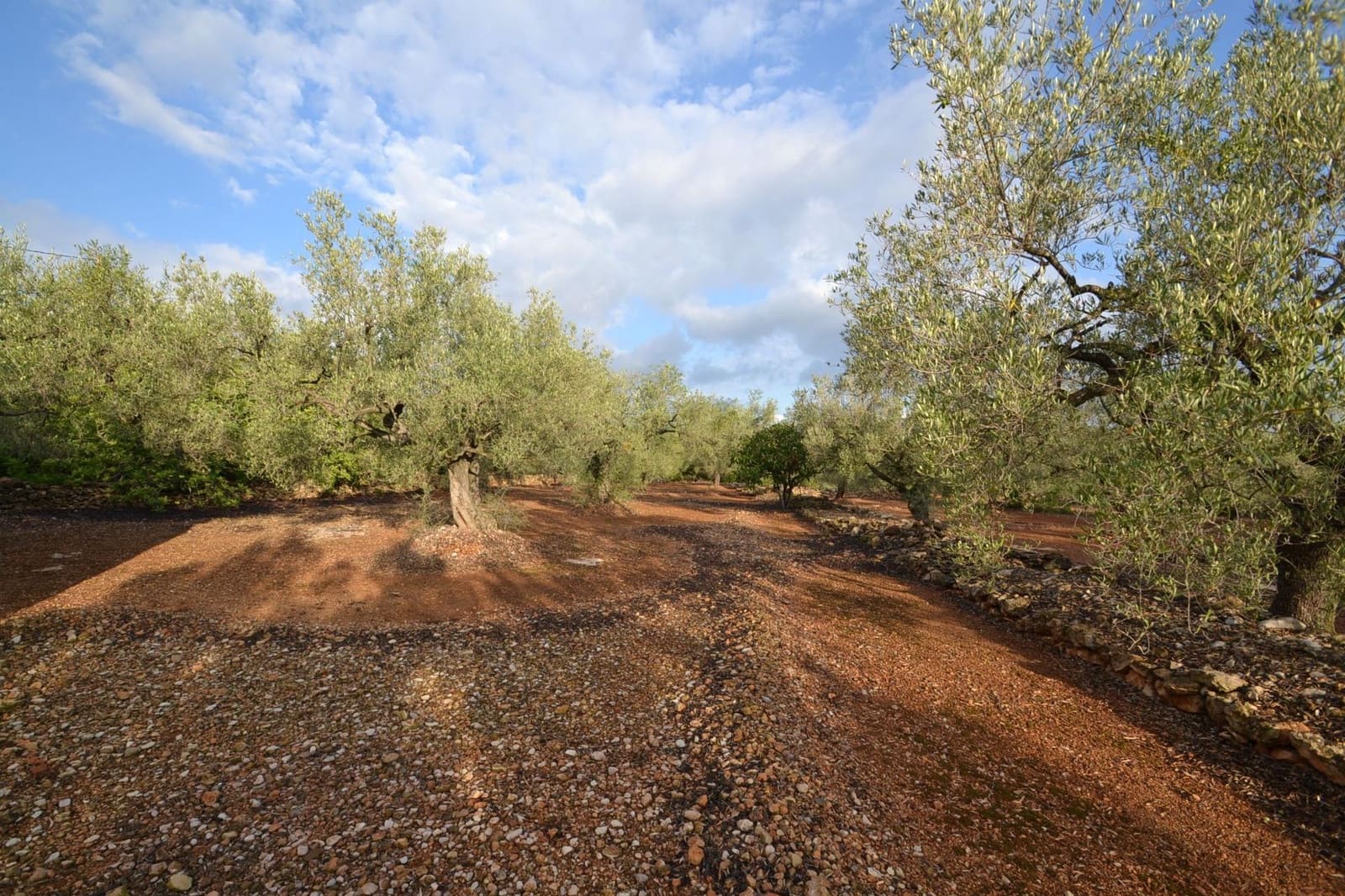 1 soverom Finca/Herregård til salgs i El Perello med garasje - € 45 000 (Ref: 8539610)