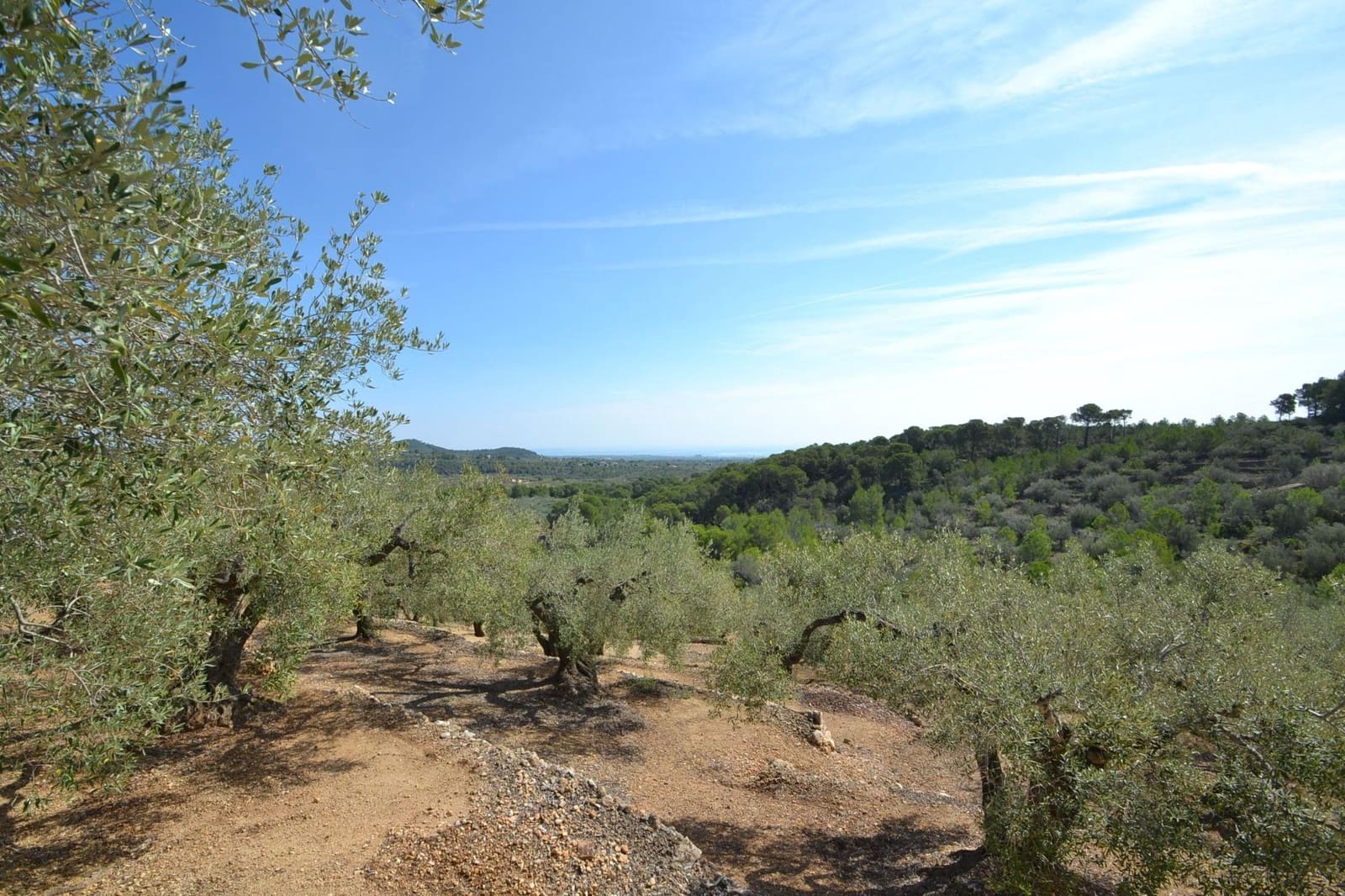 Finca/Maison de Campagne à vendre à Tortosa - 38 000 € (Ref: 8544758)