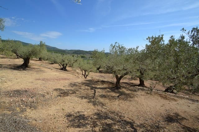 Finca/Maison de Campagne à vendre à Tortosa - 38 000 € (Ref: 8544758)