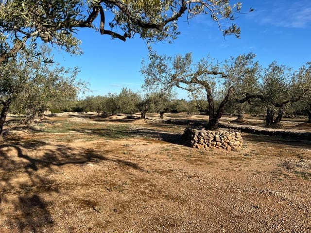 Undeveloped Land for sale in El Perelló - € 35,000 (Ref: 8778557)