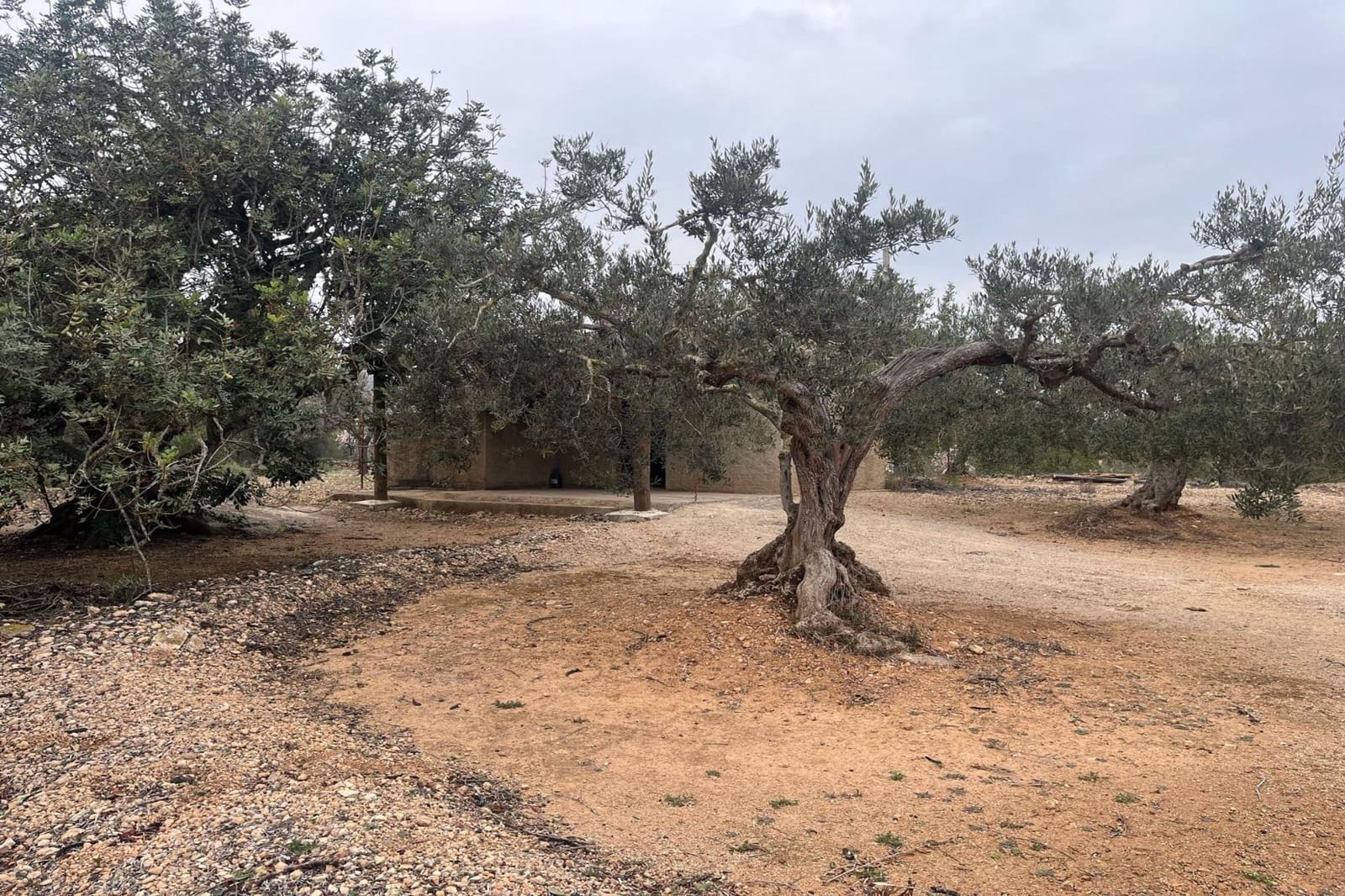 Finca/Herregård til salgs i L'Ampolla - € 56 000 (Ref: 8854796)