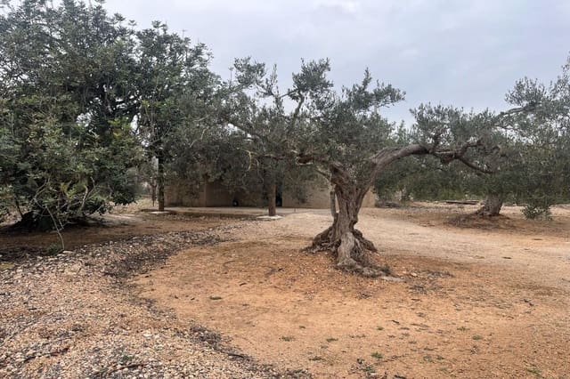 Finca/Landehus til salg i L'Ampolla - € 56.000 (Ref: 8854796)