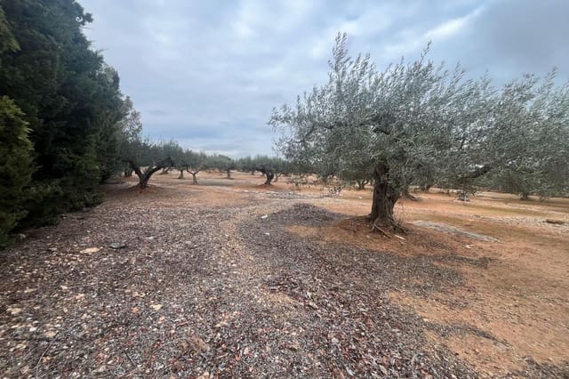 Finca/Landehus til salg i L'Ampolla - € 56.000 (Ref: 8854796)