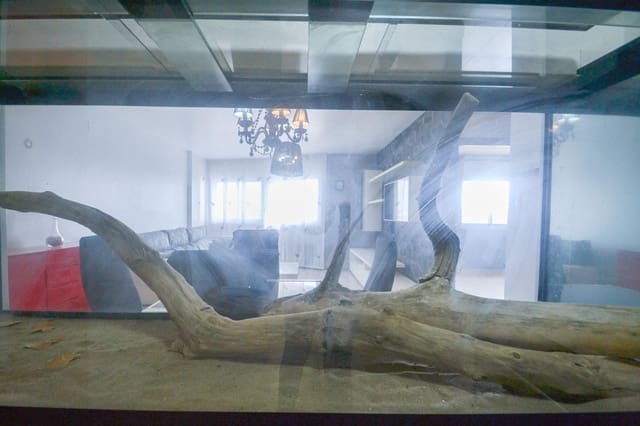 3 soverom Leilighet til salgs i Deltebre - € 78 000 (Ref: 8862619)