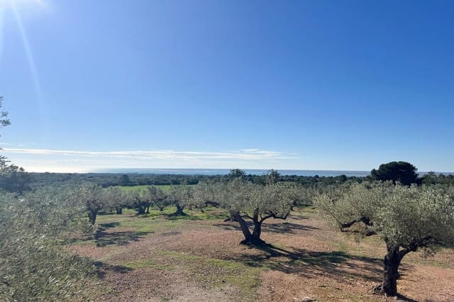 2 sovrum Finca/Hus på landet till salu i L'Ampolla - 105 000 € (Ref: 8905586)