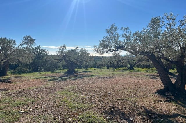 2 sovrum Finca/Hus på landet till salu i L'Ampolla - 105 000 € (Ref: 8905586)