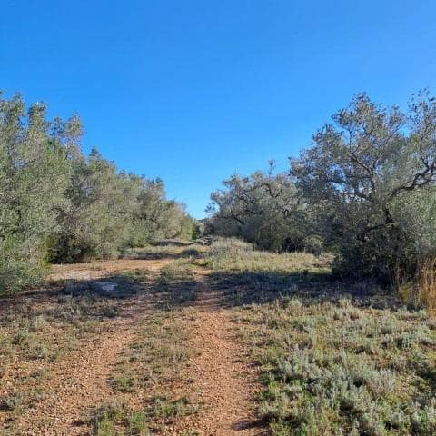 Finka/Dom wiejski na sprzedaż w Tortosa - 148 500 € (Ref: 8992217)