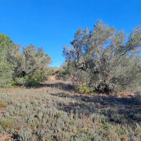 Finka/Dom wiejski na sprzedaż w Tortosa - 148 500 € (Ref: 8992217)