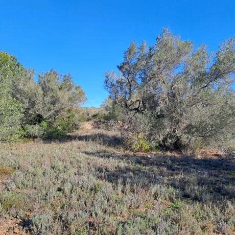 Finka/Dom wiejski na sprzedaż w Tortosa - 148 500 € (Ref: 8992217)