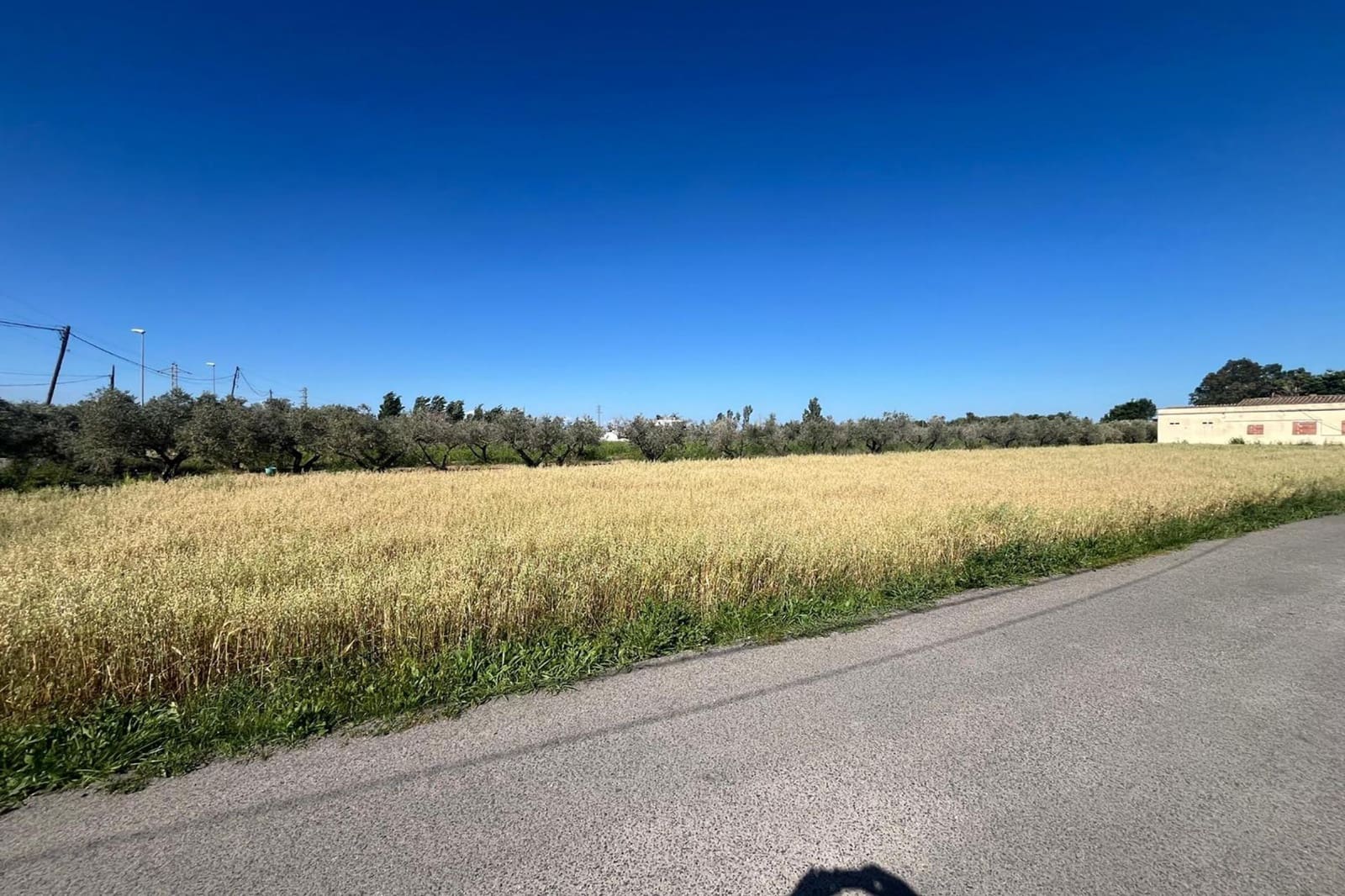 Tomt till salu i Deltebre - 45 000 € (Ref: 9003631)