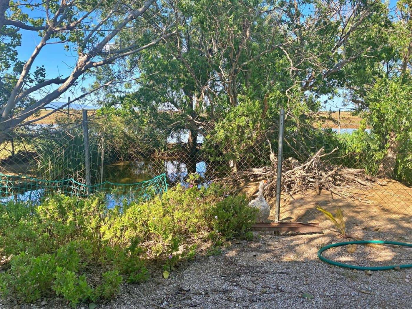 3 chambre Finca/Maison de Campagne à vendre à Deltebre - 235 000 € (Ref: 9034443)