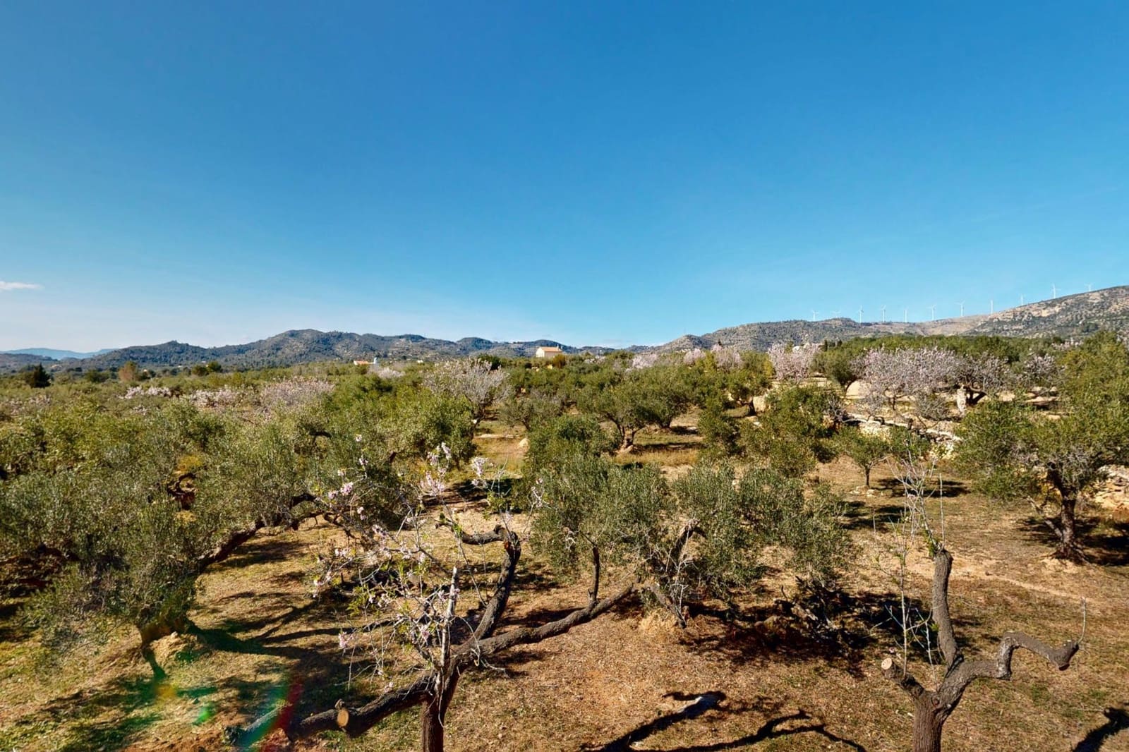 8 soveværelse Finca/Landehus til salg i L'Aldea - € 650.000 (Ref: 9114087)