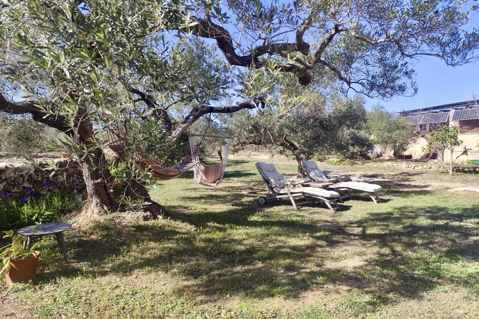 8 soveværelse Finca/Landehus til salg i L'Aldea - € 650.000 (Ref: 9114087)