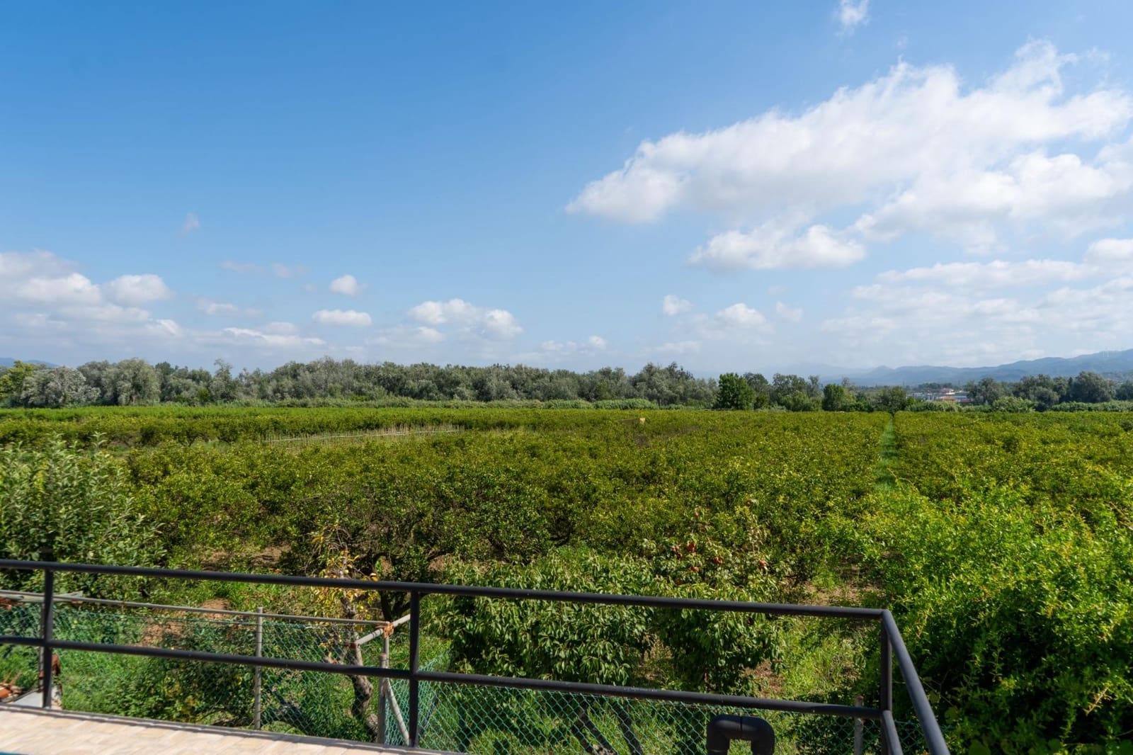 3 soverom Finca/Herregård til salgs i Vinallop - € 220 000 (Ref: 9124976)