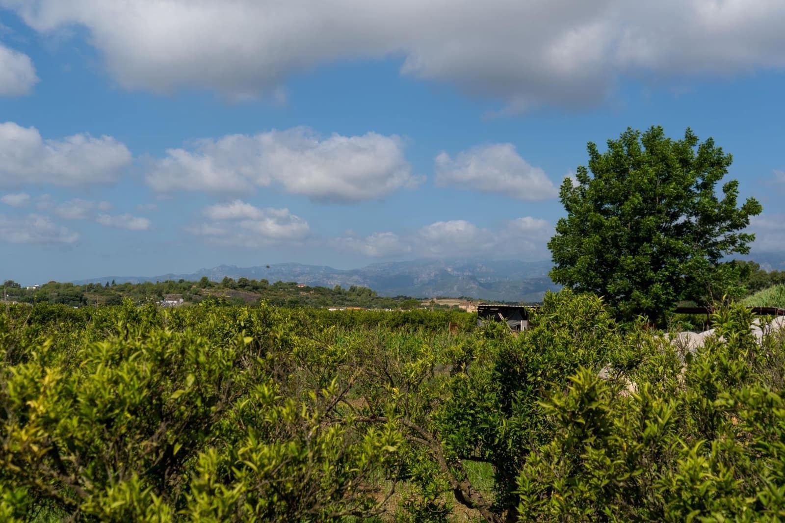 3 soverom Finca/Herregård til salgs i Vinallop - € 220 000 (Ref: 9124976)