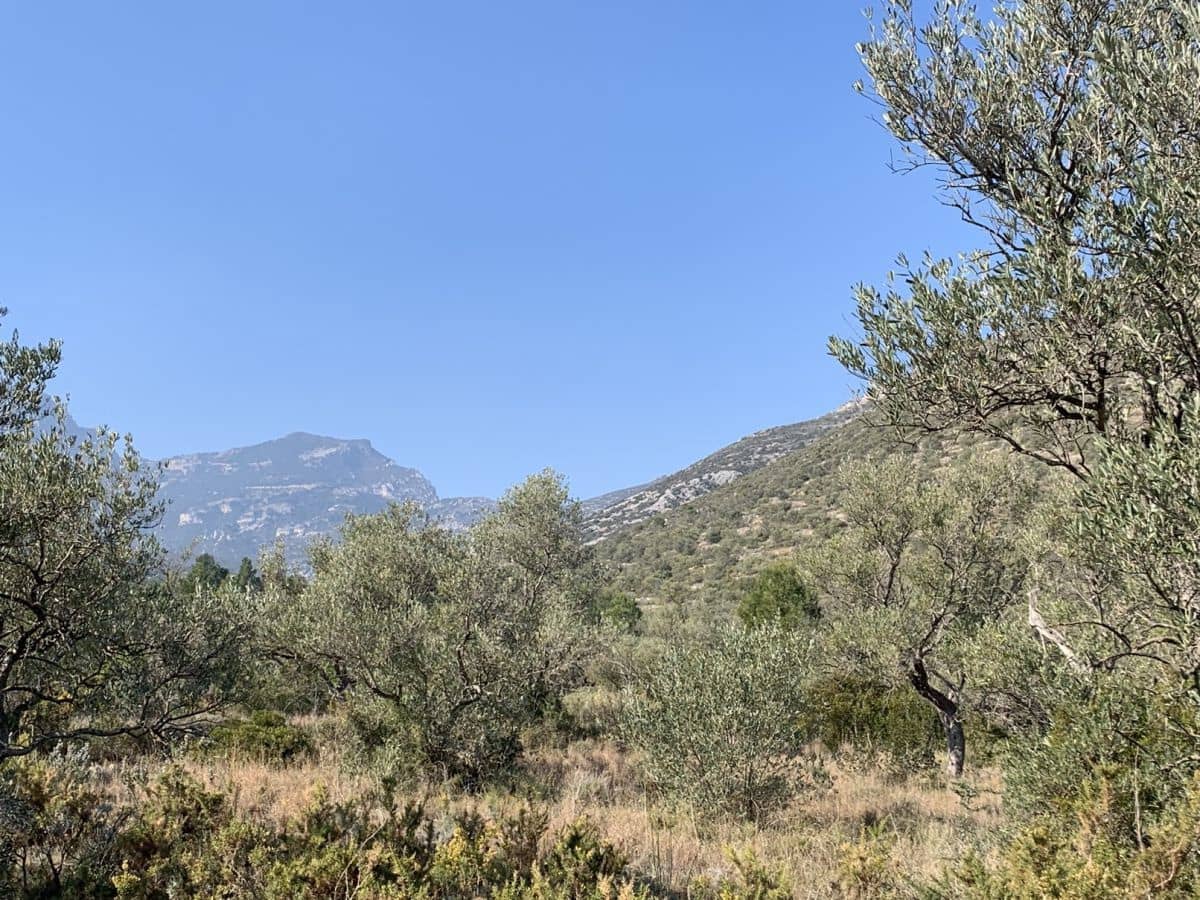 Quinta/Casa Rural para venda em Roquetes - 23 000 € (Ref: 9183647)