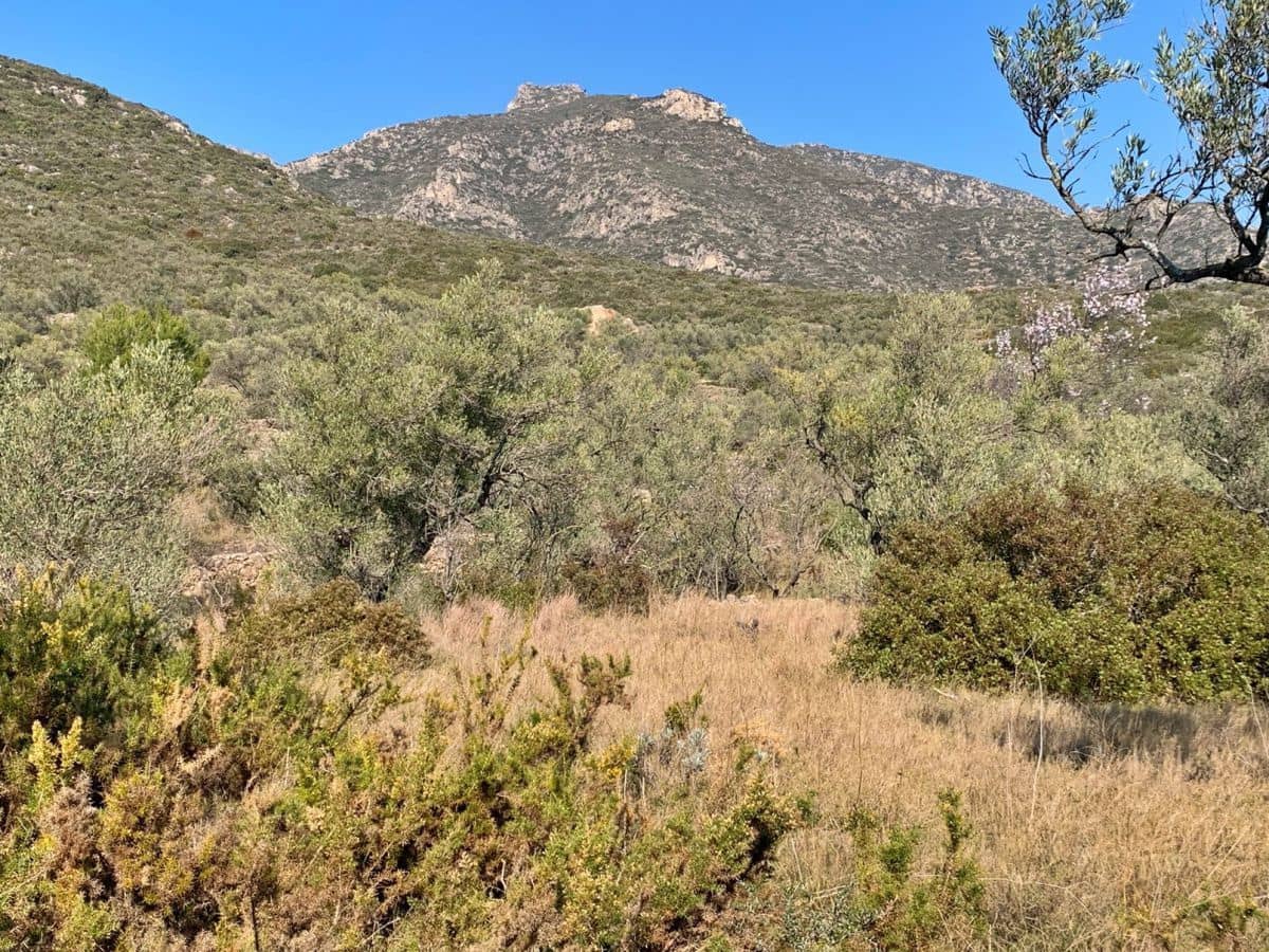 Quinta/Casa Rural para venda em Roquetes - 23 000 € (Ref: 9183647)