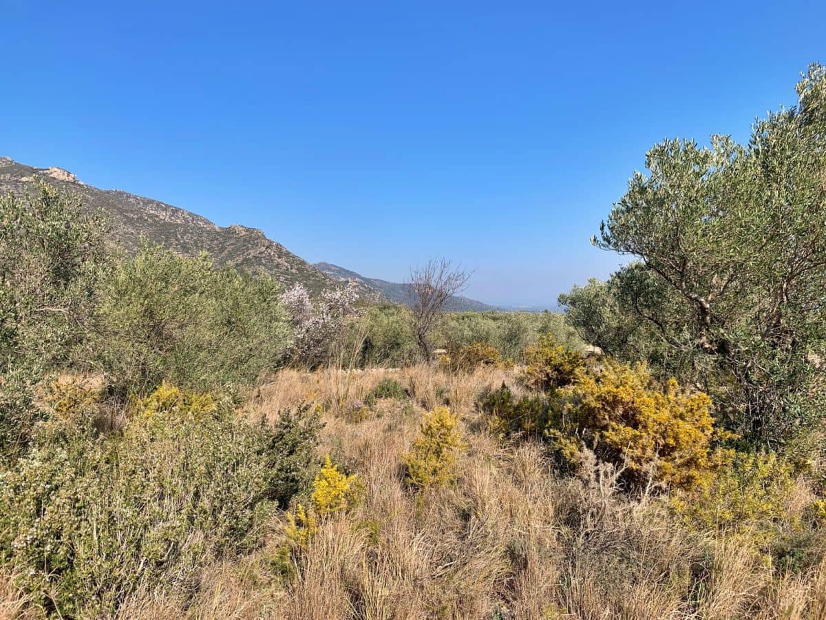 Quinta/Casa Rural para venda em Roquetes - 23 000 € (Ref: 9183647)